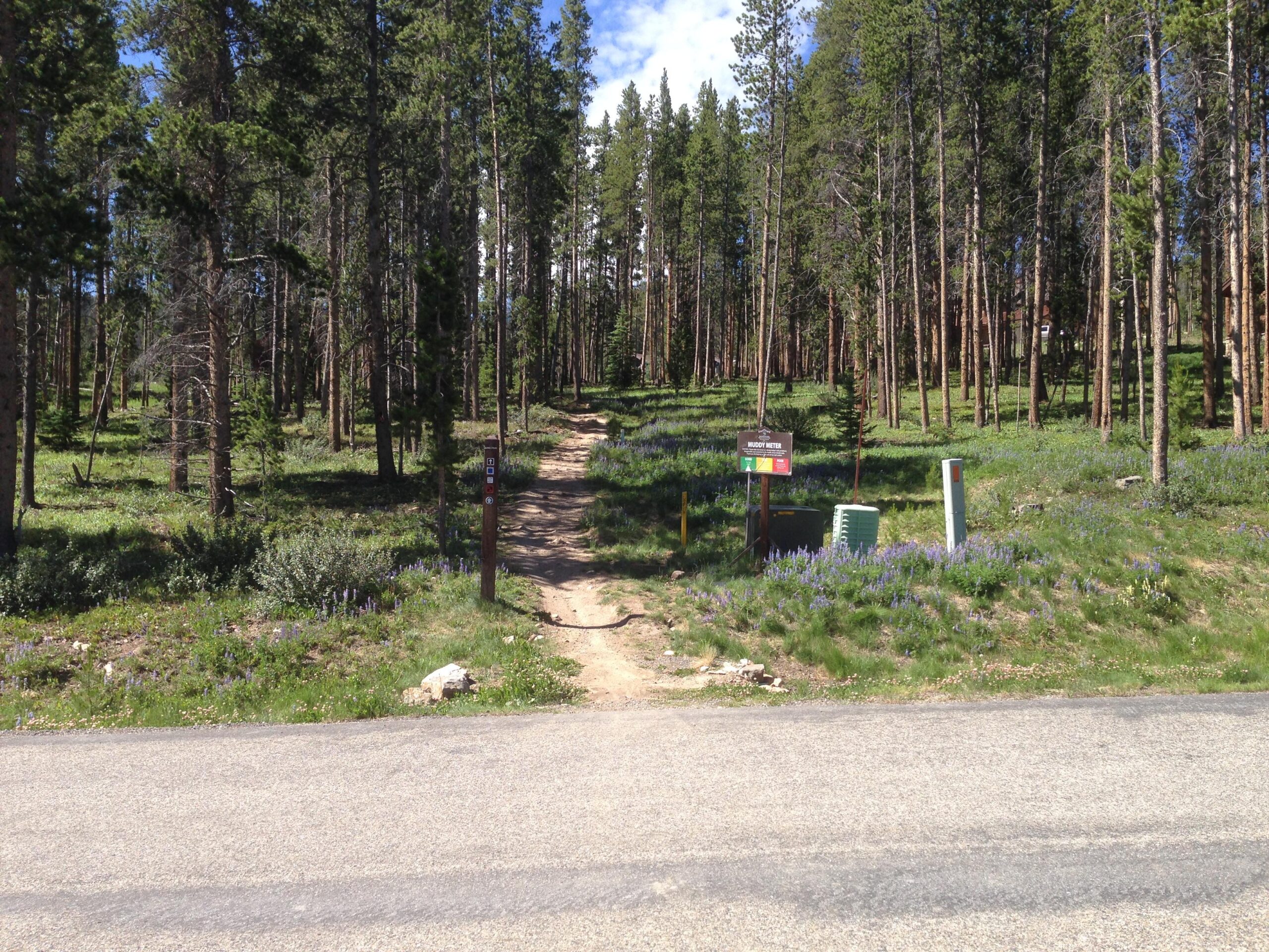 A forest trail entrance bordered by tall pine trees and wildflowers, with a pathway leading into the woods. There are signage posts indicating the trail, and some greenery and rocks near the roadside. Clear blue sky is visible above. Flume Loop mountain bike trail.