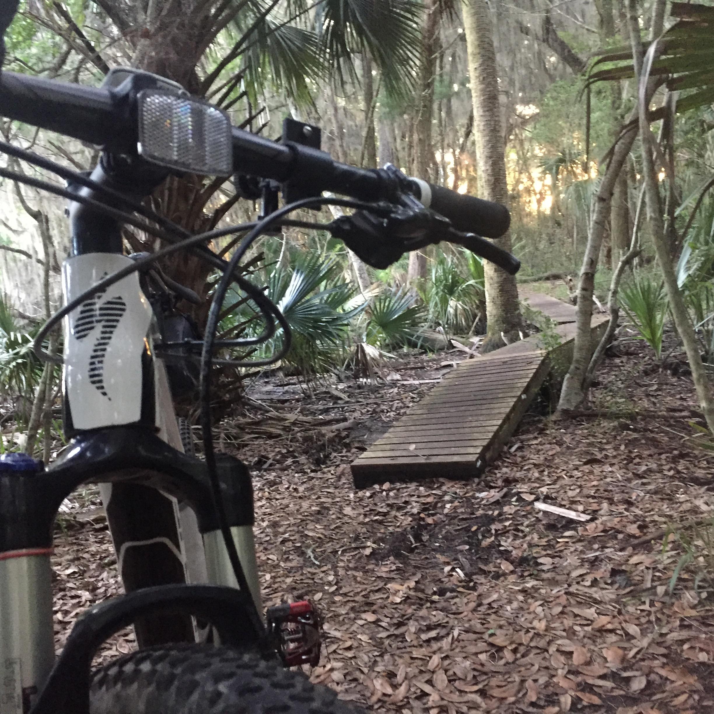 A close-up view of a mountain bike parked on a forest trail, with a wooden bridge visible in the background. The surrounding area features lush foliage and palm trees, creating a natural and serene atmosphere. Moses Creek mountain bike trail.