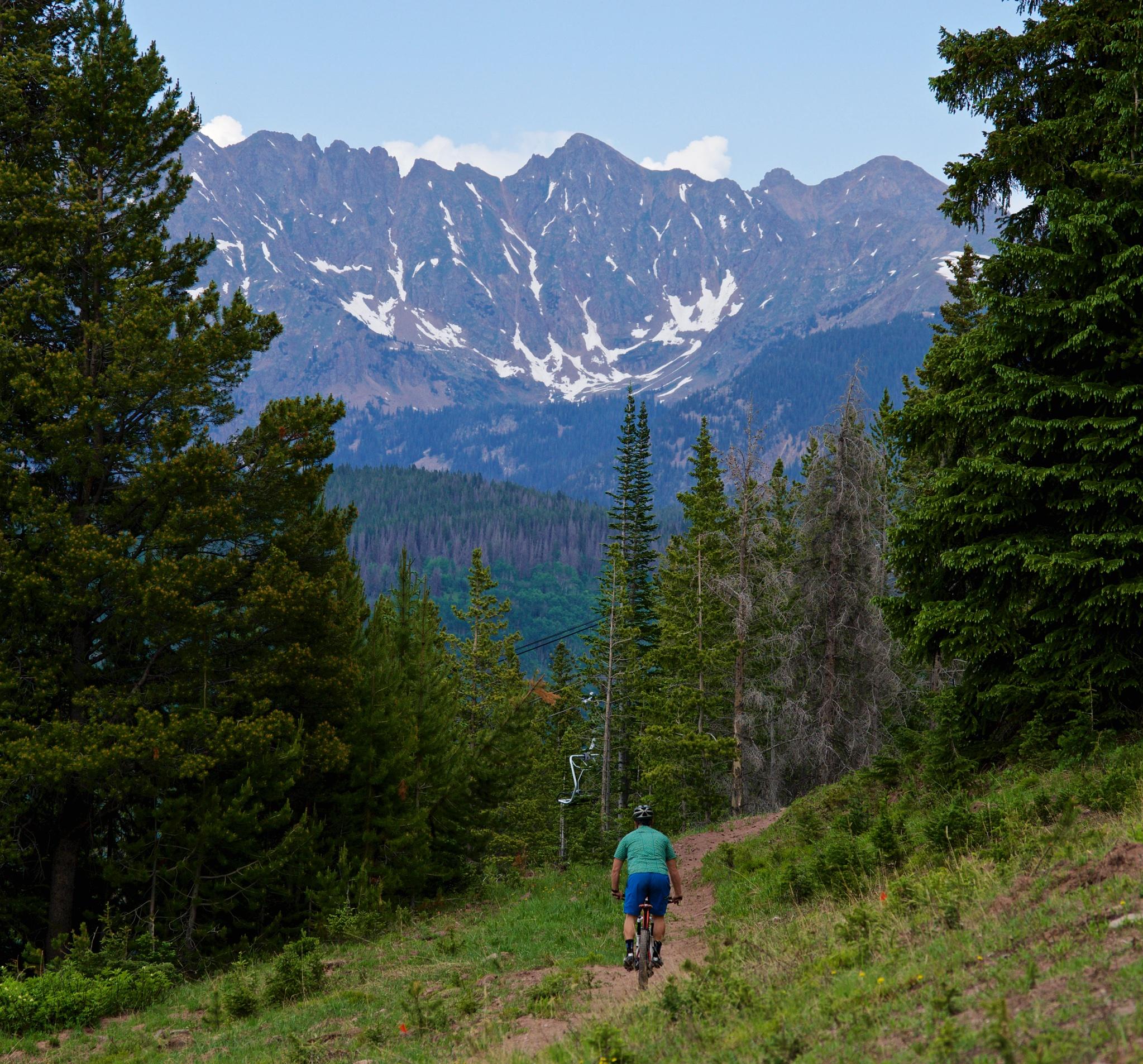 A person riding a mountain bike down a dirt trail surrounded by lush green trees, with a backdrop of snow-capped mountains under a clear blue sky. Vail Mountain Bike Park mountain bike trail.