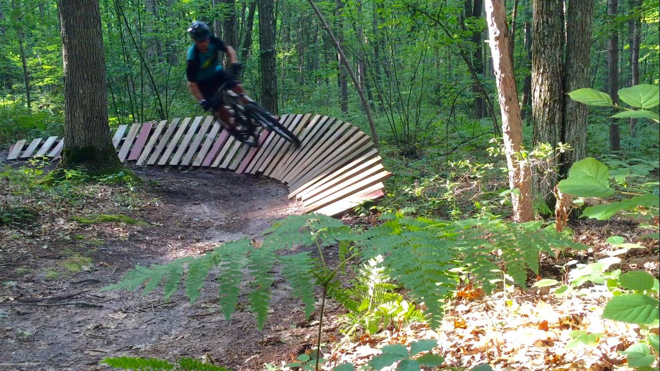 A mountain biker maneuvering around a curved wooden ramp on a forest trail, surrounded by lush greenery and trees. The biker is mid-air, showcasing skill and speed, while sunlight filters through the leaves, illuminating the path. Levis Mounds mountain bike trail.