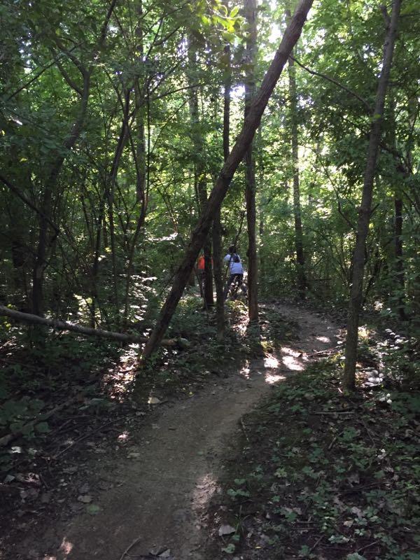 A winding dirt trail surrounded by lush greenery leads through a dense forest, with two hikers visible in the distance. Sunlight filters through the treetops, illuminating the path and creating a tranquil outdoor atmosphere. Kickapoo mountain bike trail.