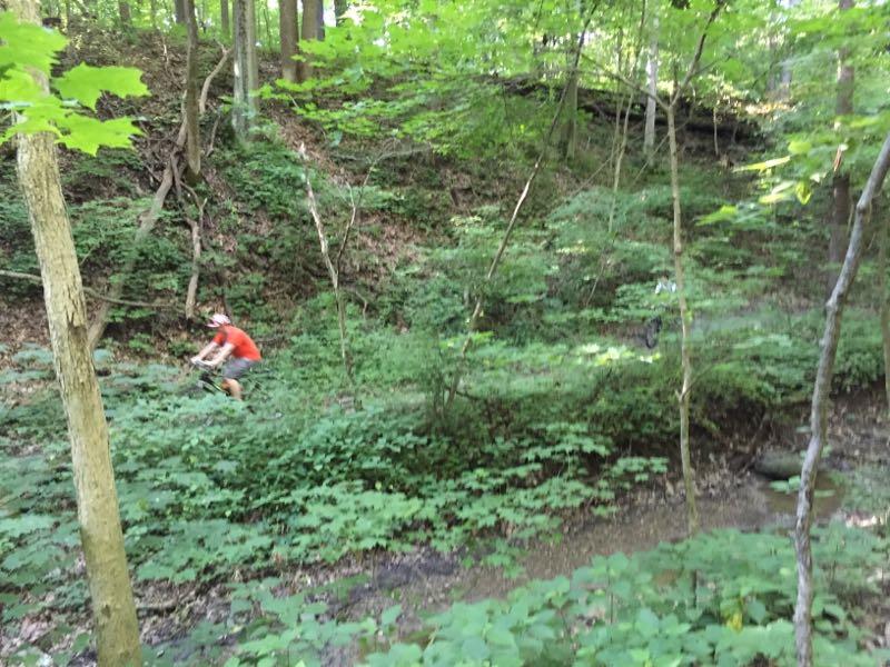 A cyclist wearing a red shirt rides through a lush green forest filled with trees and dense vegetation. The background features a sloping hillside, with various shades of green from the foliage. The scene conveys a sense of outdoor adventure in a natural setting. Kickapoo mountain bike trail.