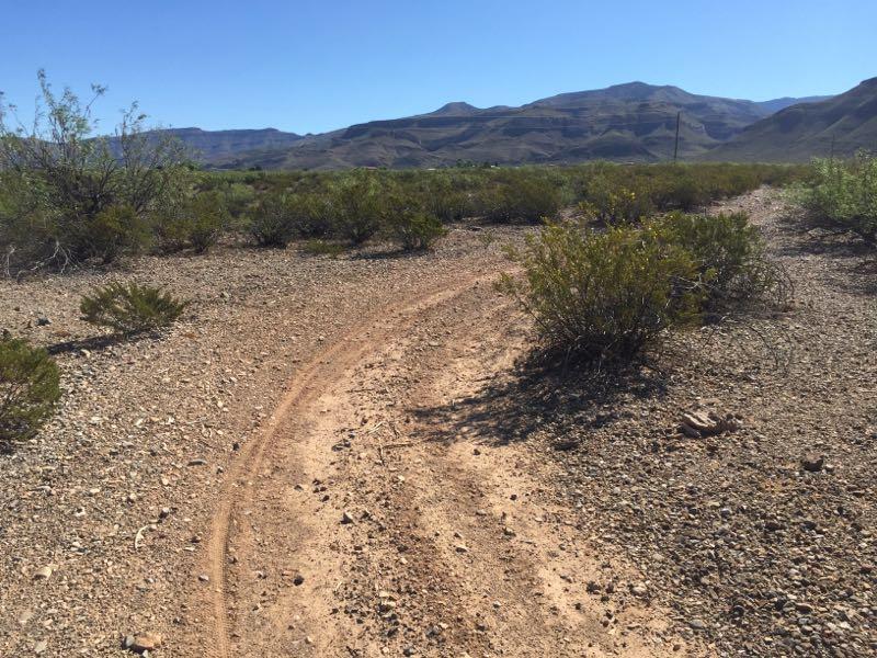 A winding dirt path through a desert landscape, bordered by sparse vegetation and small rocks, with mountains in the background under a clear blue sky. South Alamo Foothills mountain bike trail.