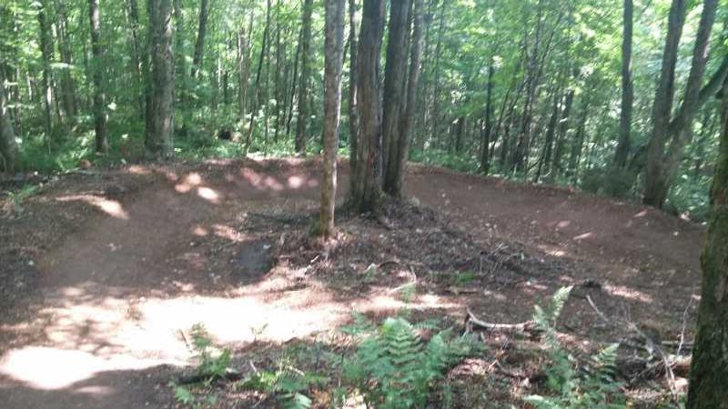 A winding dirt path through a dense forest, surrounded by tall trees and green foliage. The trail features slight elevation changes and curves, dappled sunlight filtering through the leaves above, creating a natural and serene environment. Vallee Bras Du Nord Secteur Shannahan mountain bike trail.