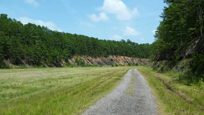 A gravel path winding through a grassy field, flanked by a forested slope with trees on the left. The sky is partly cloudy, providing a bright, natural atmosphere. The terrain features a gentle incline on the right, leading up to a rocky cliff. Iron Mountain mountain bike trail.