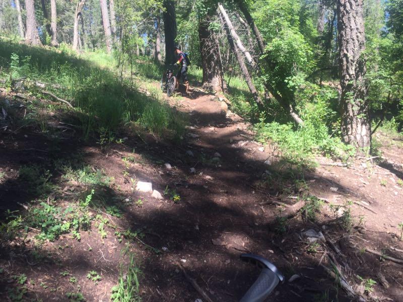 A mountain biker navigating a winding dirt trail through a forested area, surrounded by tall trees and lush greenery. The trail is slightly inclined, and a bicycle is parked nearby, with some patches of sunlight peeking through the trees. High Altitude Racing Loop mountain bike trail.