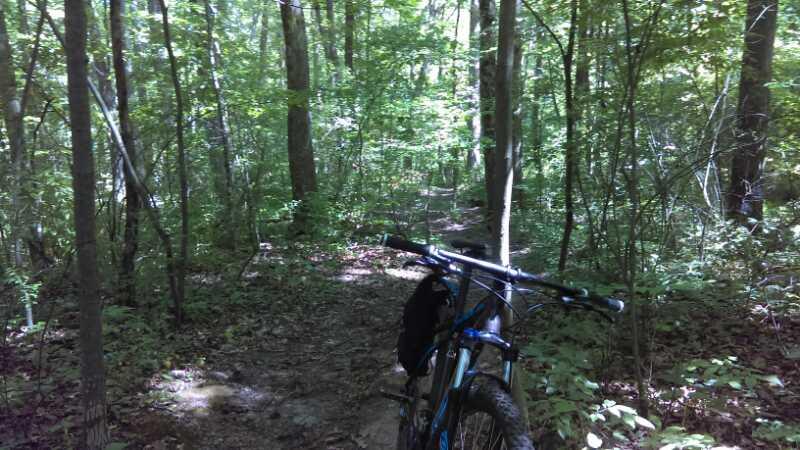 A mountain bike resting on a narrow dirt trail surrounded by dense green foliage and trees, indicating a peaceful forest setting for outdoor exploration. Holdridge Recreation Area mountain bike trail.