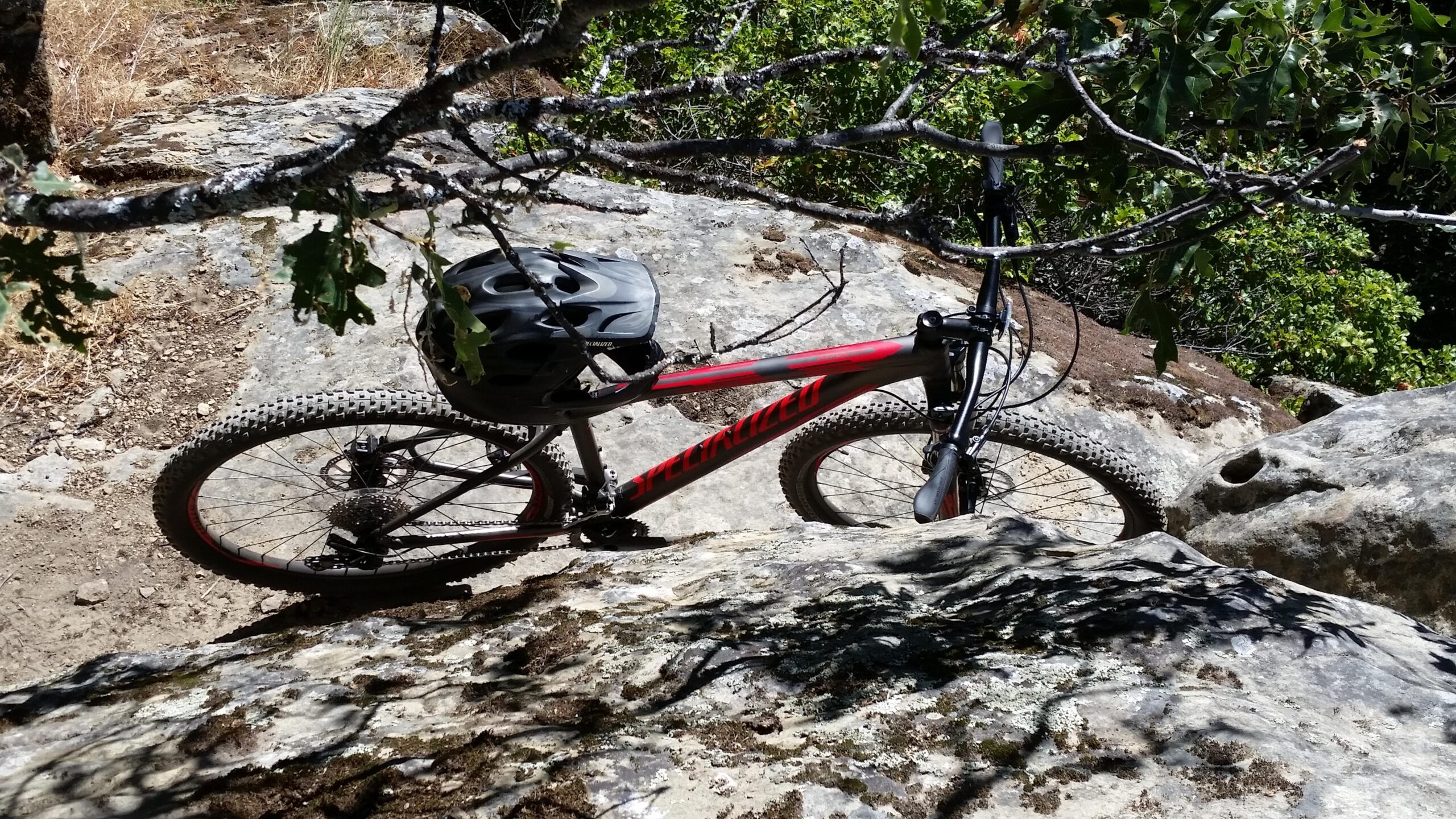 Specialized Pitch 650b: A mountain bike rests on rocky terrain, partially shaded by overhanging branches. The bike features a black and red frame and is equipped with a helmet resting on the handlebars. The background shows a combination of dry grass and leafy greenery, depicting a natural outdoor setting.