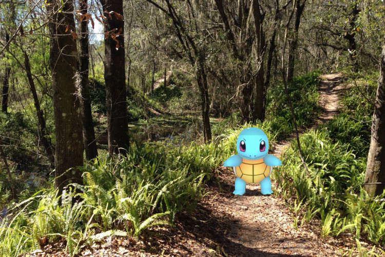 A vibrant, wooded trail surrounded by lush green ferns and trees, with a cheerful blue turtle-like character standing on the path. The scene captures a sunny day in nature.