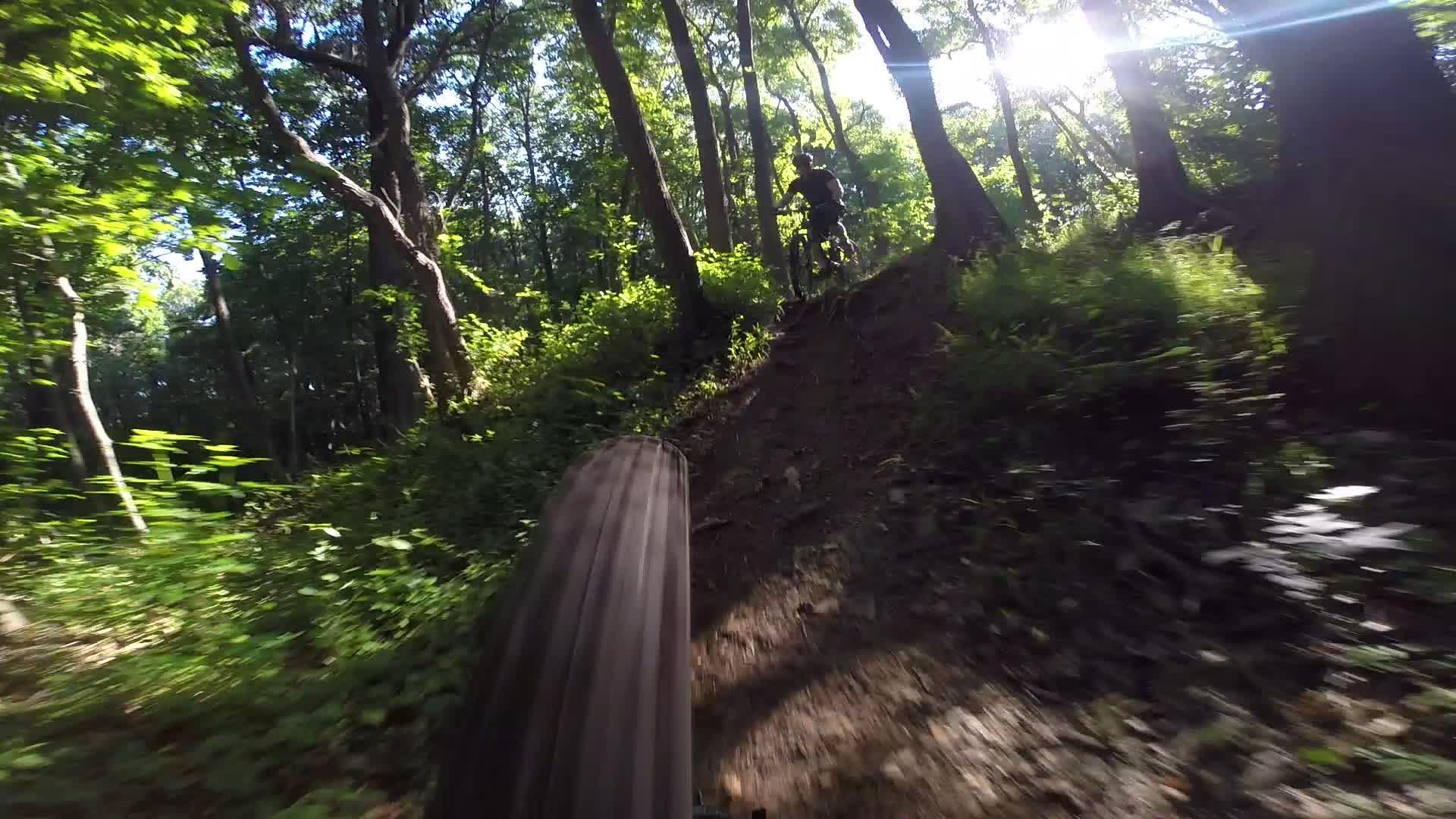 A mountain biker navigating a dirt trail surrounded by lush green trees, captured in motion with sunlight filtering through the foliage. The image focuses on the bike's tire as it climbs a steep, earthy slope amid a vibrant natural setting. Richmond Avenue and Forest Hill road mountain bike trail.