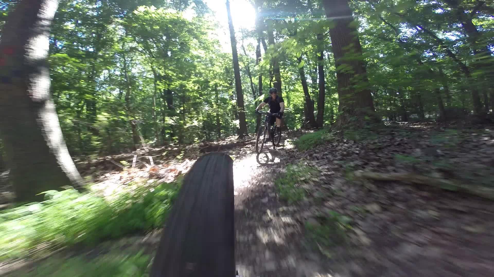 A cyclist riding along a dirt trail in a densely wooded area, surrounded by lush green foliage and sunlight filtering through the trees. The image captures the motion and excitement of mountain biking in nature. Richmond Avenue and Forest Hill road mountain bike trail.