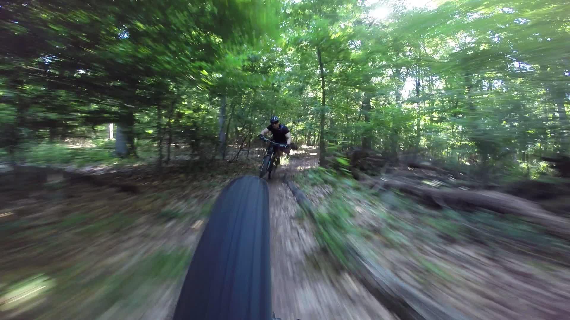 A mountain biker navigating a wooded trail, captured in a high-speed perspective that emphasizes motion, with blurred foliage and ground suggesting rapid movement through a green forest environment. Richmond Avenue and Forest Hill road mountain bike trail.