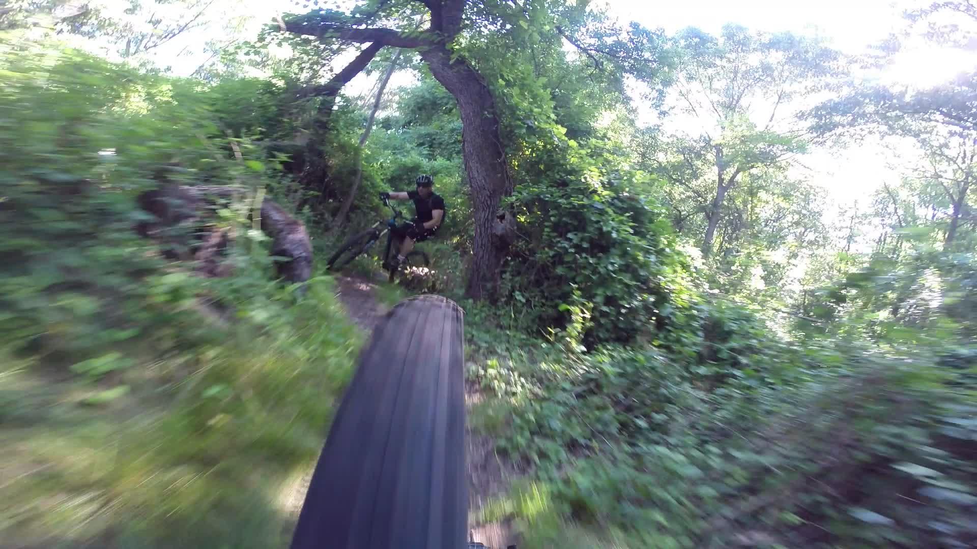 A mountain biker navigating a narrow, wooded trail surrounded by lush greenery, with a blurred view of the bike's front tire in the foreground, suggesting speed and movement. Richmond Avenue and Forest Hill road mountain bike trail.