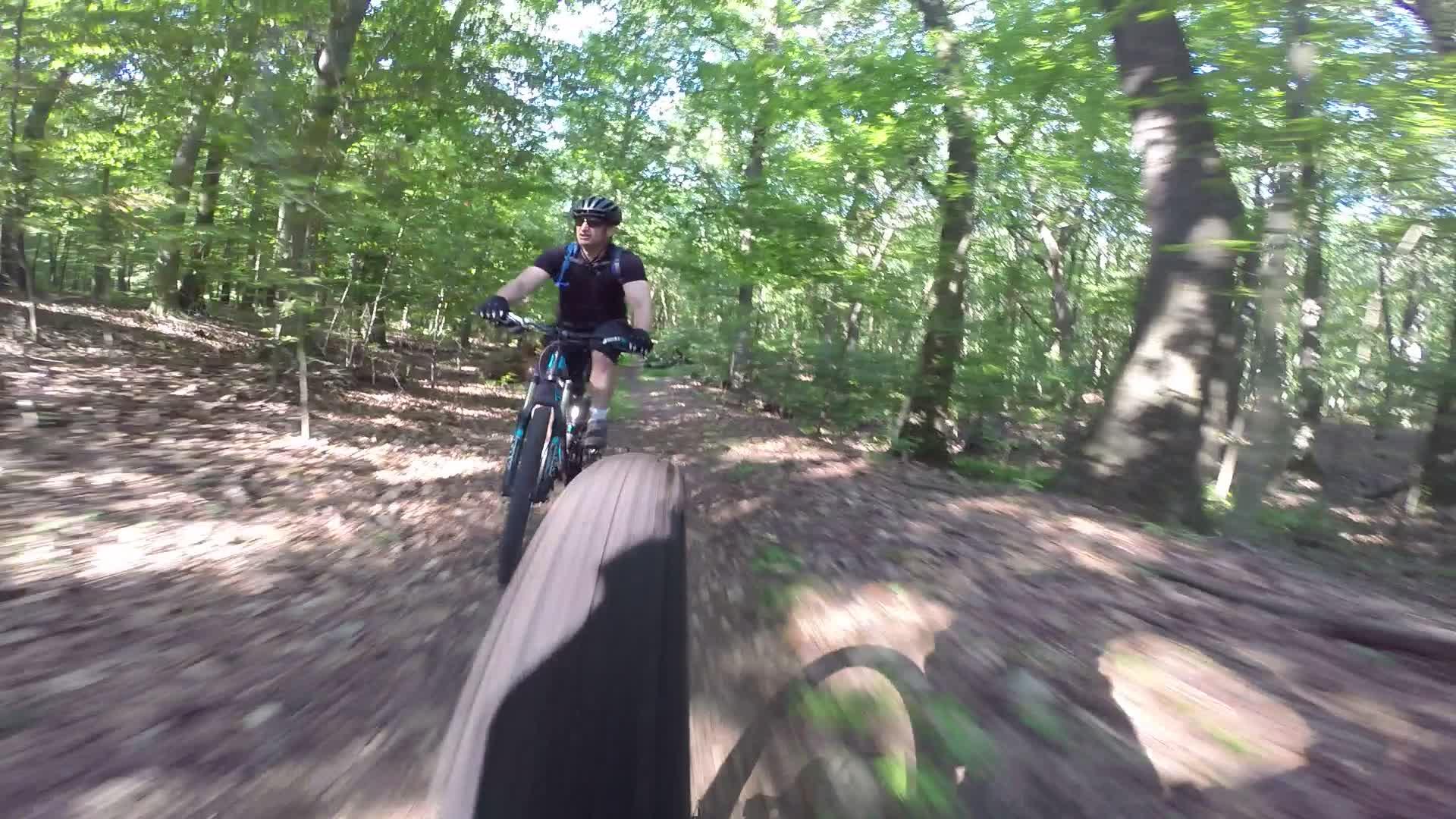 A mountain biker rides along a dirt trail in a lush, green forest surrounded by trees. The perspective shows the rider and part of the front wheel of the bike, capturing the sense of speed and adventure in the natural setting. Sunlight filters through the leaves, creating a vibrant atmosphere. Richmond Avenue and Forest Hill road mountain bike trail.