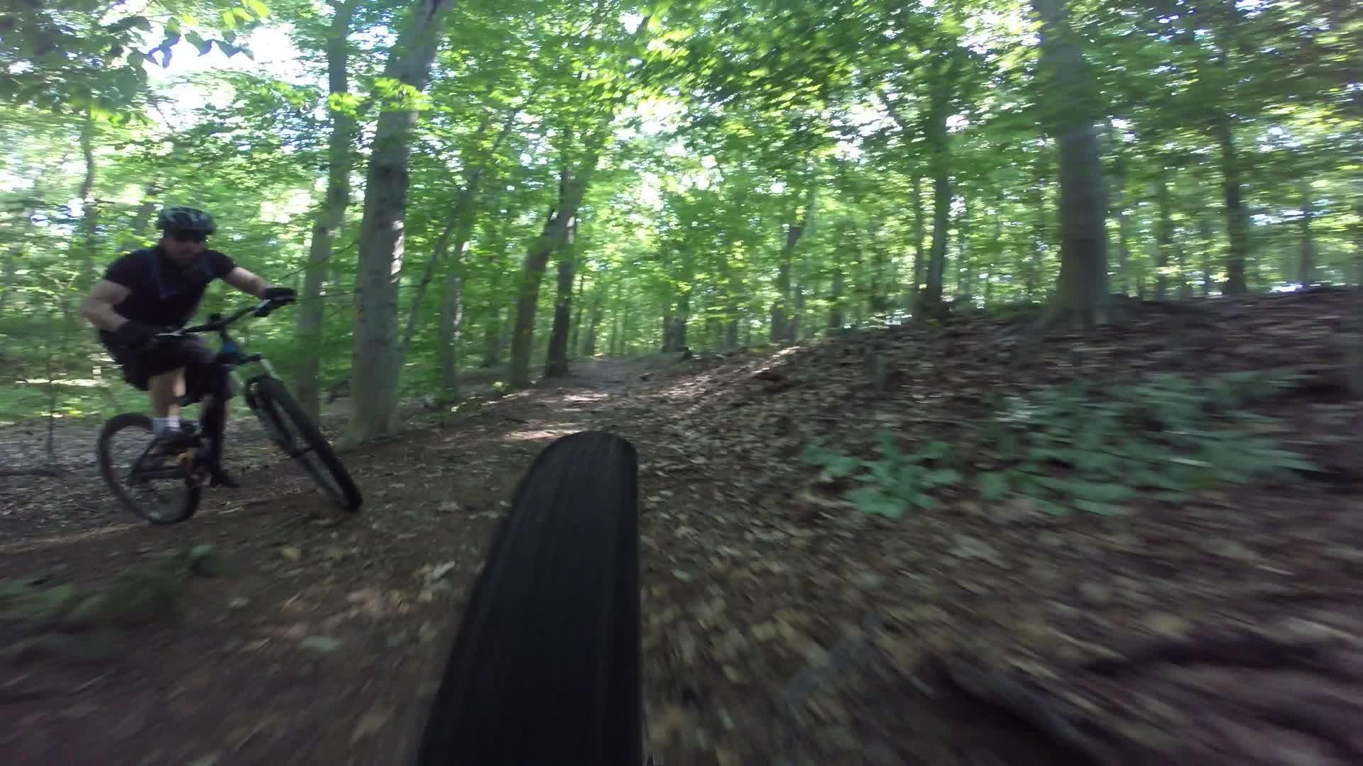 Mountain biker navigating a dirt trail through a lush, green forest, captured from a low perspective that includes the bicycle tire in the foreground. Richmond Avenue and Forest Hill road mountain bike trail.