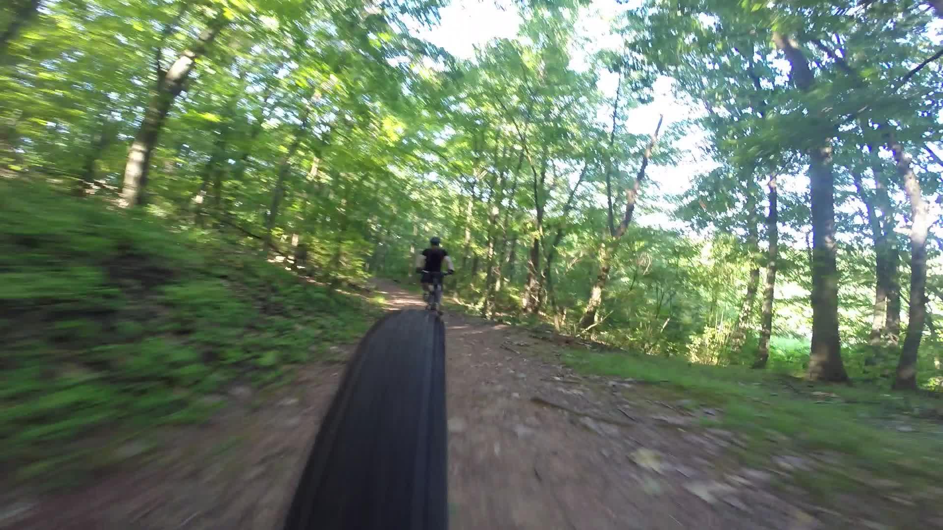 A person riding a mountain bike along a wooded trail, with lush greenery and sunlight filtering through the trees. The image captures the perspective from the bike, showing the tire and a blurred background indicating motion. Richmond Avenue and Forest Hill road mountain bike trail.