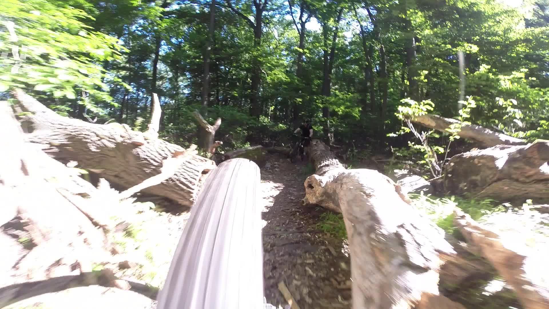 A perspective view from a mountain bike navigating a wooded trail, with large fallen logs and greenery on either side. Sunlight filters through the trees, highlighting the uneven terrain ahead. Richmond Avenue and Forest Hill road mountain bike trail.