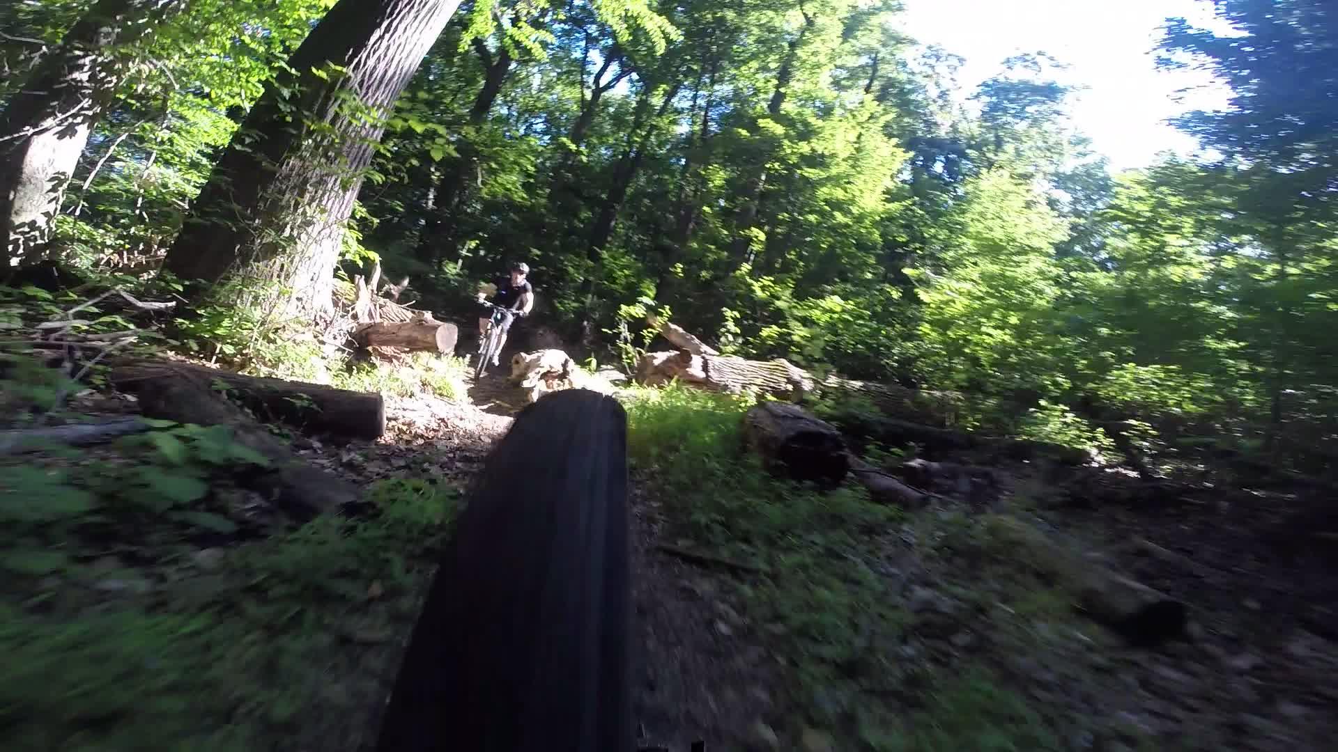A cyclist navigating a wooded trail on a mountain bike, with sunlight filtering through the trees and logs scattered along the path. Richmond Avenue and Forest Hill road mountain bike trail.