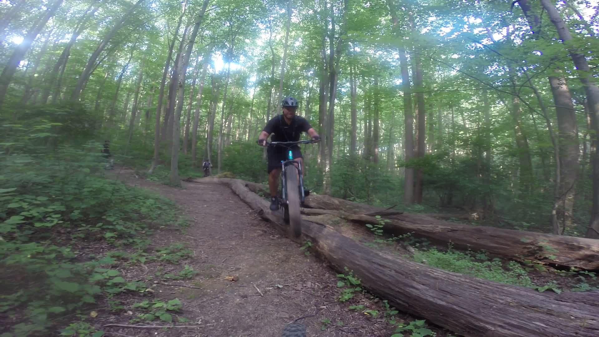 A mountain biker navigating a forest trail, balancing on a fallen log with lush green trees in the background. The scene captures the excitement of outdoor biking in a natural setting. Huber Woods mountain bike trail.
