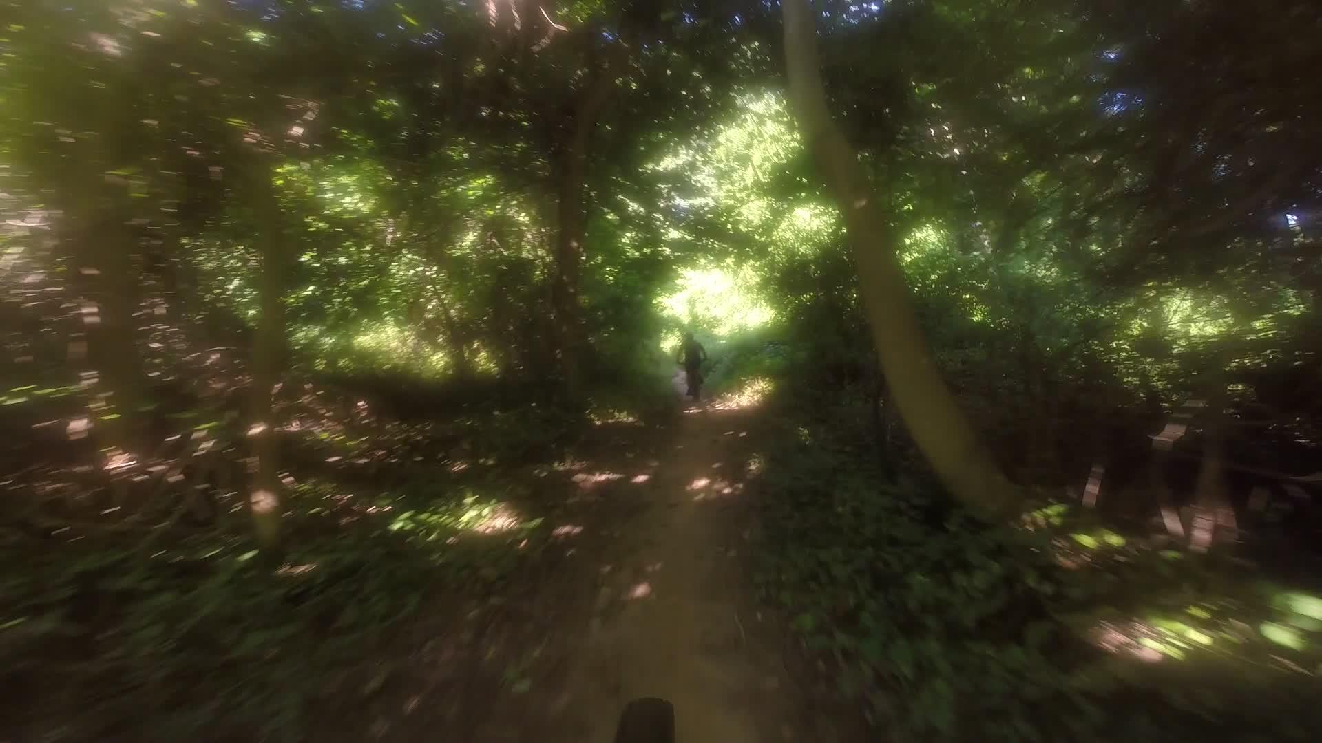 A blurred image of a person riding a mountain bike on a narrow dirt trail surrounded by lush green trees and foliage. Sunlight filters through the canopy, creating dappled light patterns on the ground. Hartshorne Woods Park mountain bike trail.