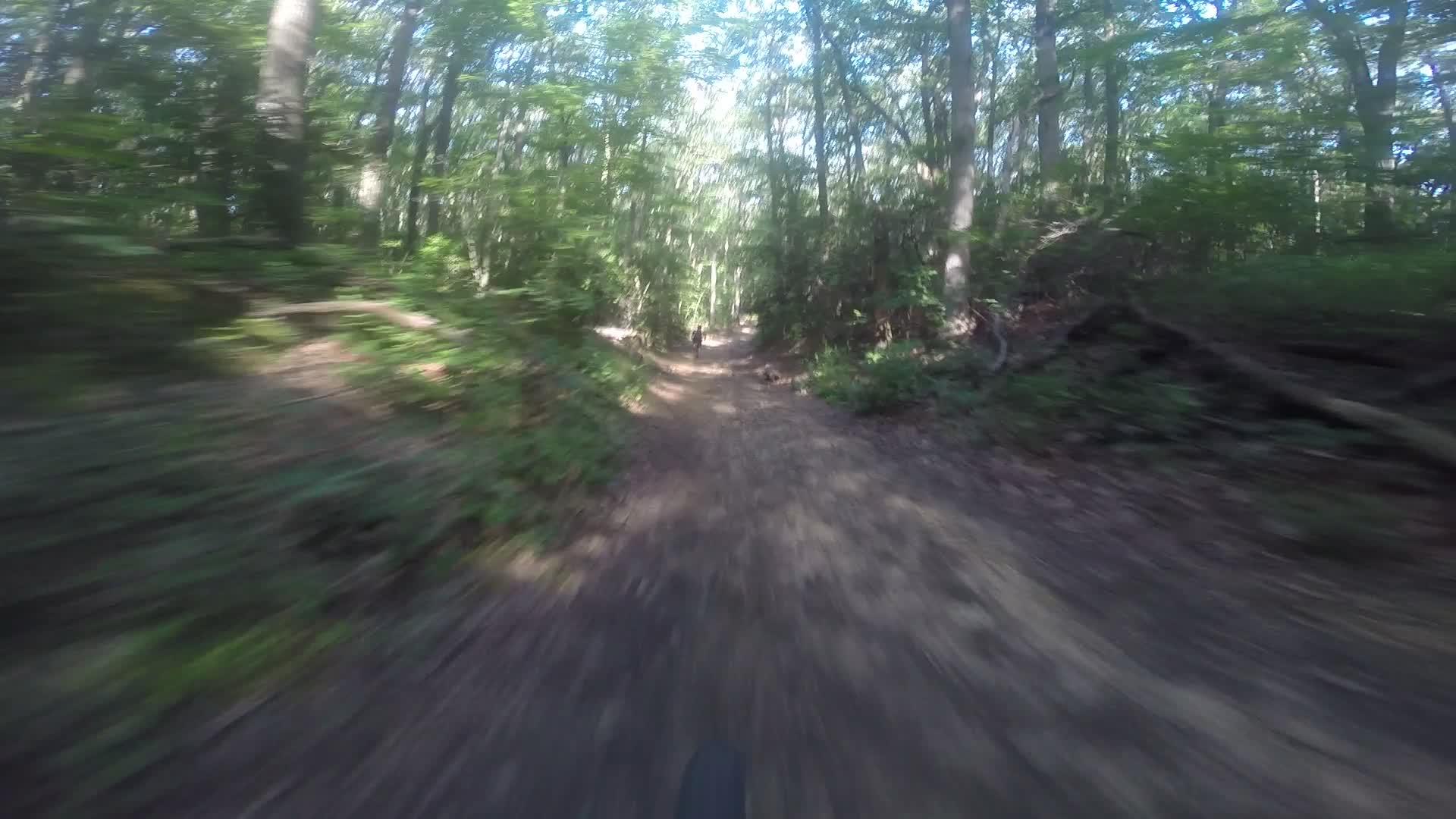A blurred view of a dirt path winding through a lush green forest, capturing the sense of speed and movement in a natural setting. Sunlight filters through the trees, illuminating the trail as it stretches ahead. Hartshorne Woods Park mountain bike trail.