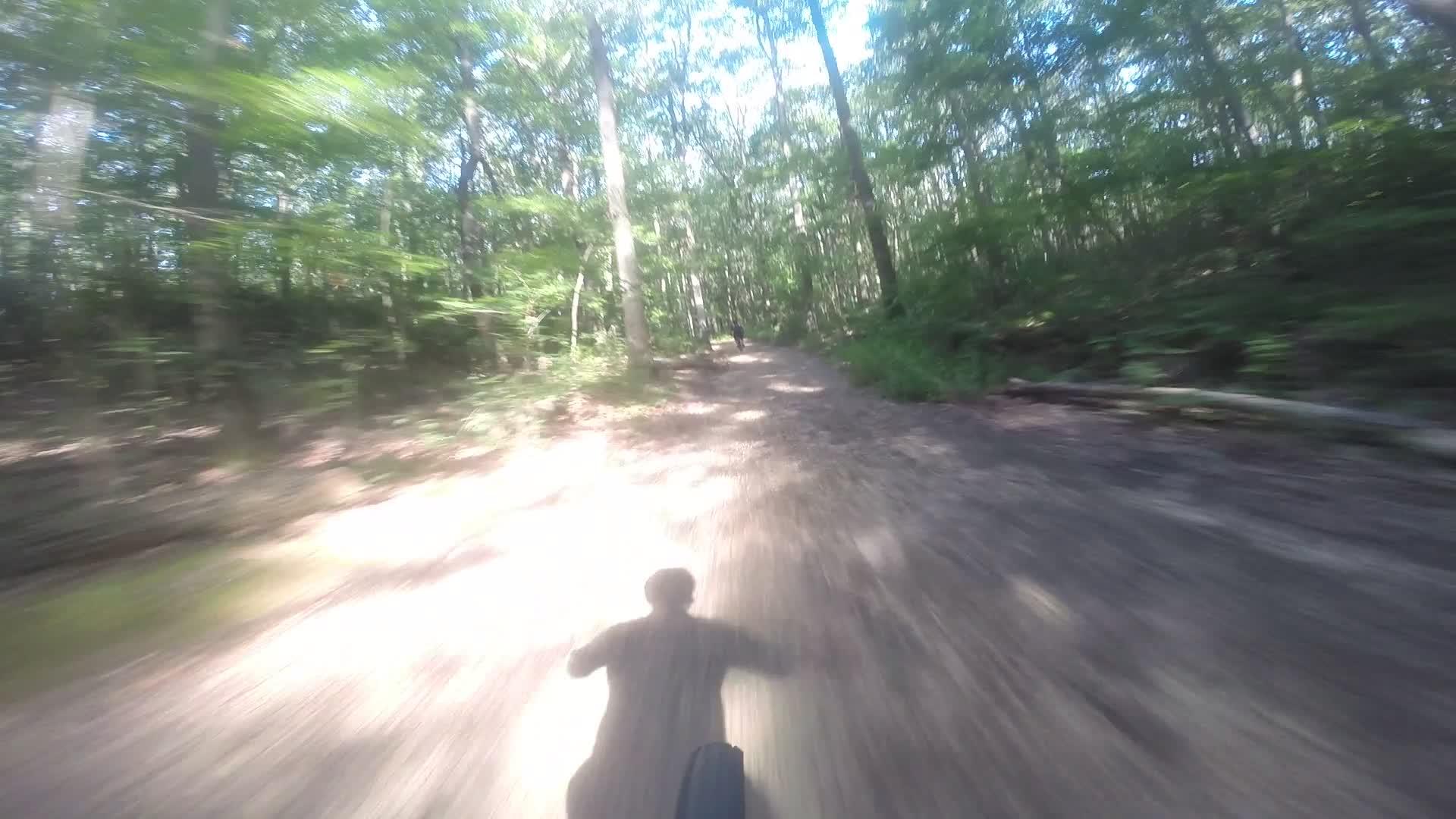 A blurred view of a dirt trail through a lush, green wooded area, with shadows of a cyclist in motion. Sunlight filters through the trees, creating a dynamic and vibrant atmosphere that conveys the excitement of mountain biking. Hartshorne Woods Park mountain bike trail.