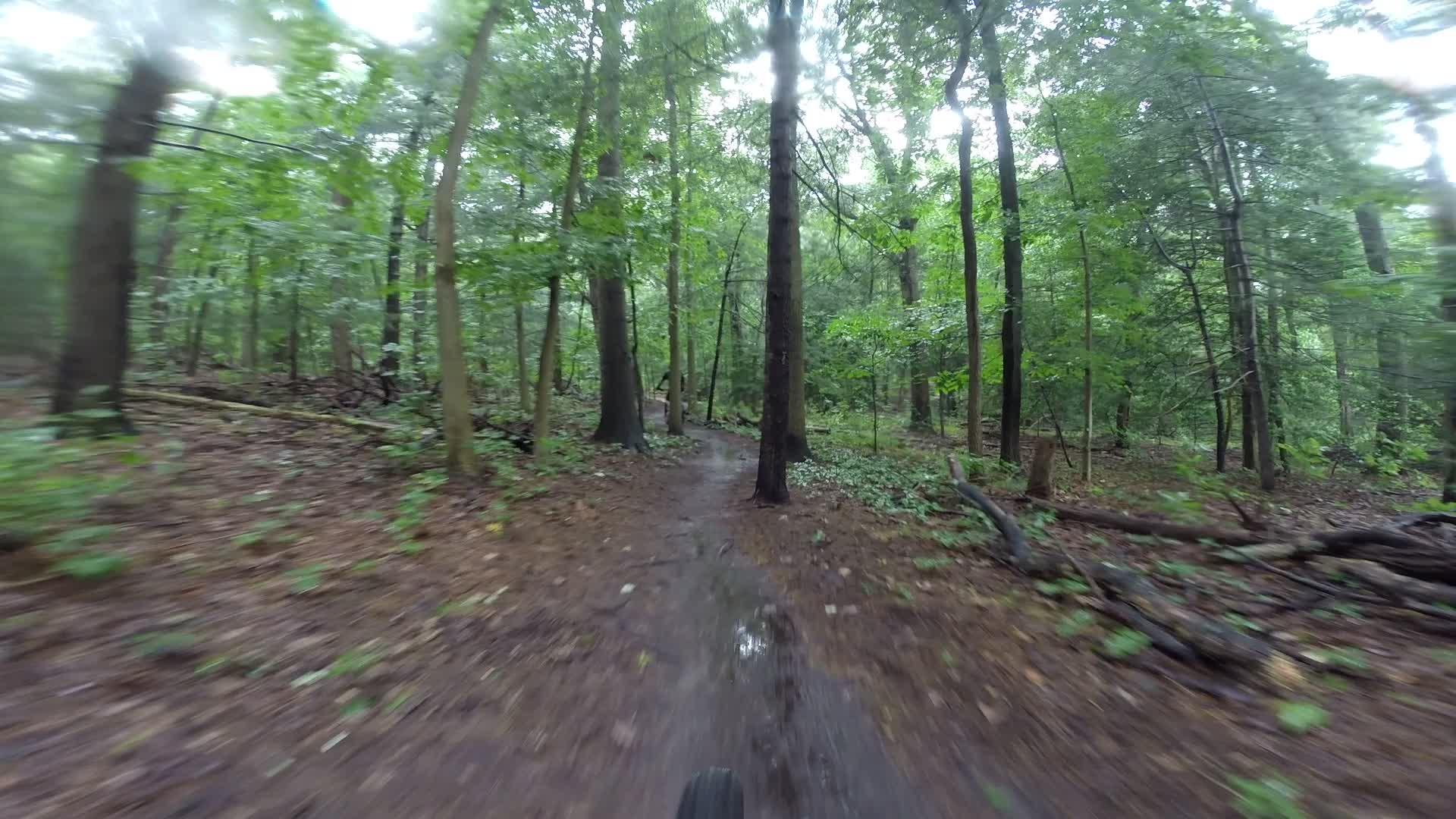 A blurred perspective of a dirt path winding through a lush, green forest, captured from a moving bike, with tall trees and dense foliage surrounding the trail. The ground is covered in leaves and small branches, indicating a natural, wooded area. Huber Woods mountain bike trail.