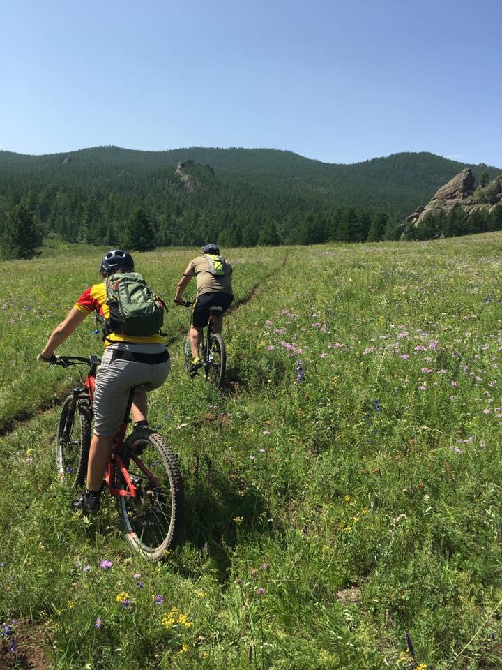 Two mountain bikers riding through a vibrant green meadow filled with wildflowers, with rolling hills and trees in the background under a clear blue sky. Terelj Singletrack Loop mountain bike trail.