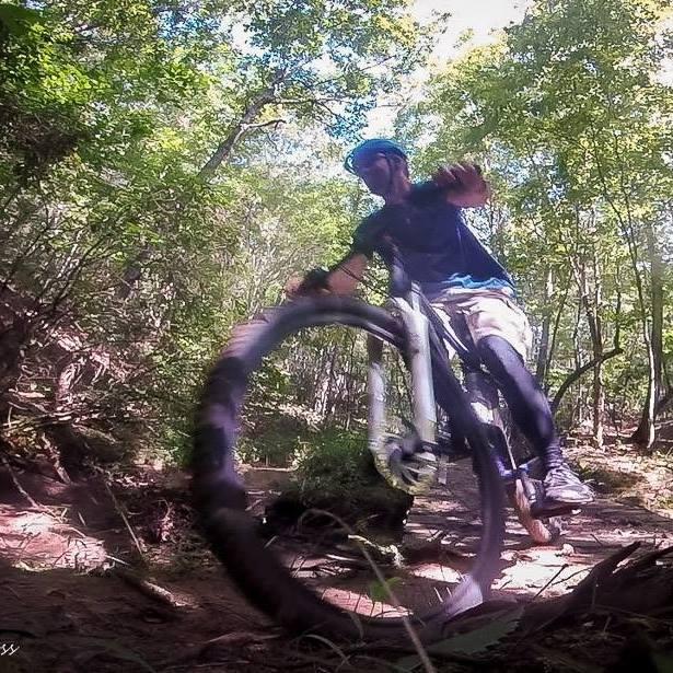 A cyclist performing a jump on a mountain bike in a forested area, surrounded by lush green trees and underbrush. The image captures the dynamic movement and energy of mountain biking on a natural trail. Mountain Laurel Trails mountain bike trail.
