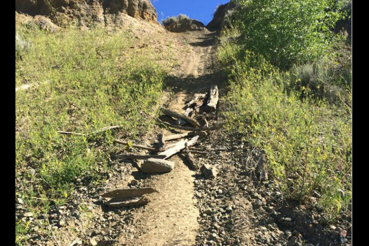 A dirt trail leading uphill, surrounded by green grass and scattered rocks. Fallen logs and debris are visible along the pathway, with a clear blue sky above.