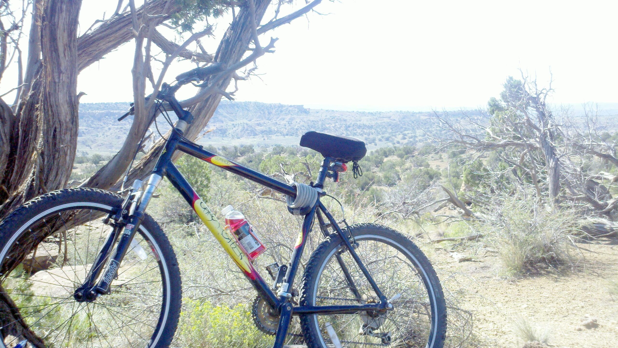 Gary Fisher Wahoo: A mountain bike leaning against a tree with a vast, arid landscape in the background, featuring rocky hills and sparse vegetation. A water bottle is attached to the frame of the bike.