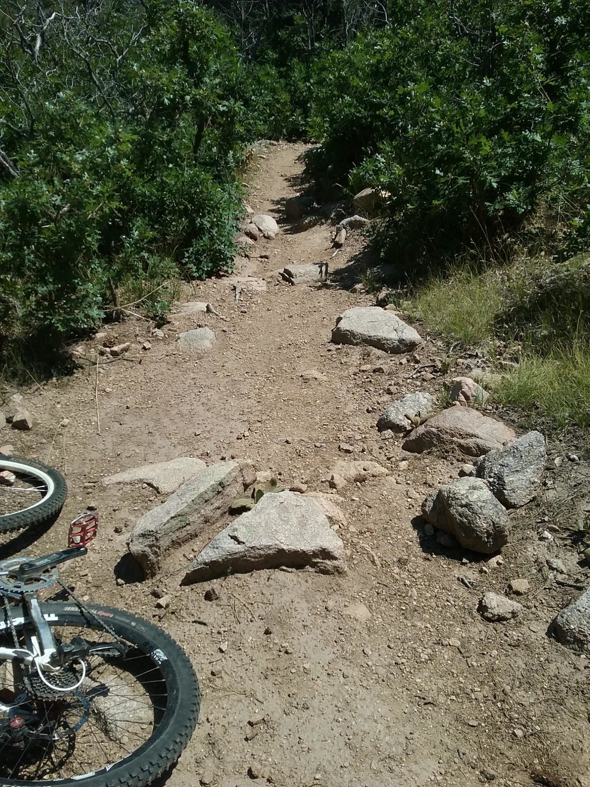 A narrow dirt mountain bike trail lined with bushes and rocks, with a bike partially lying on the ground in the foreground. The path leads into a green, wooded area. Cheyenne Mountain State Park mountain bike trail.