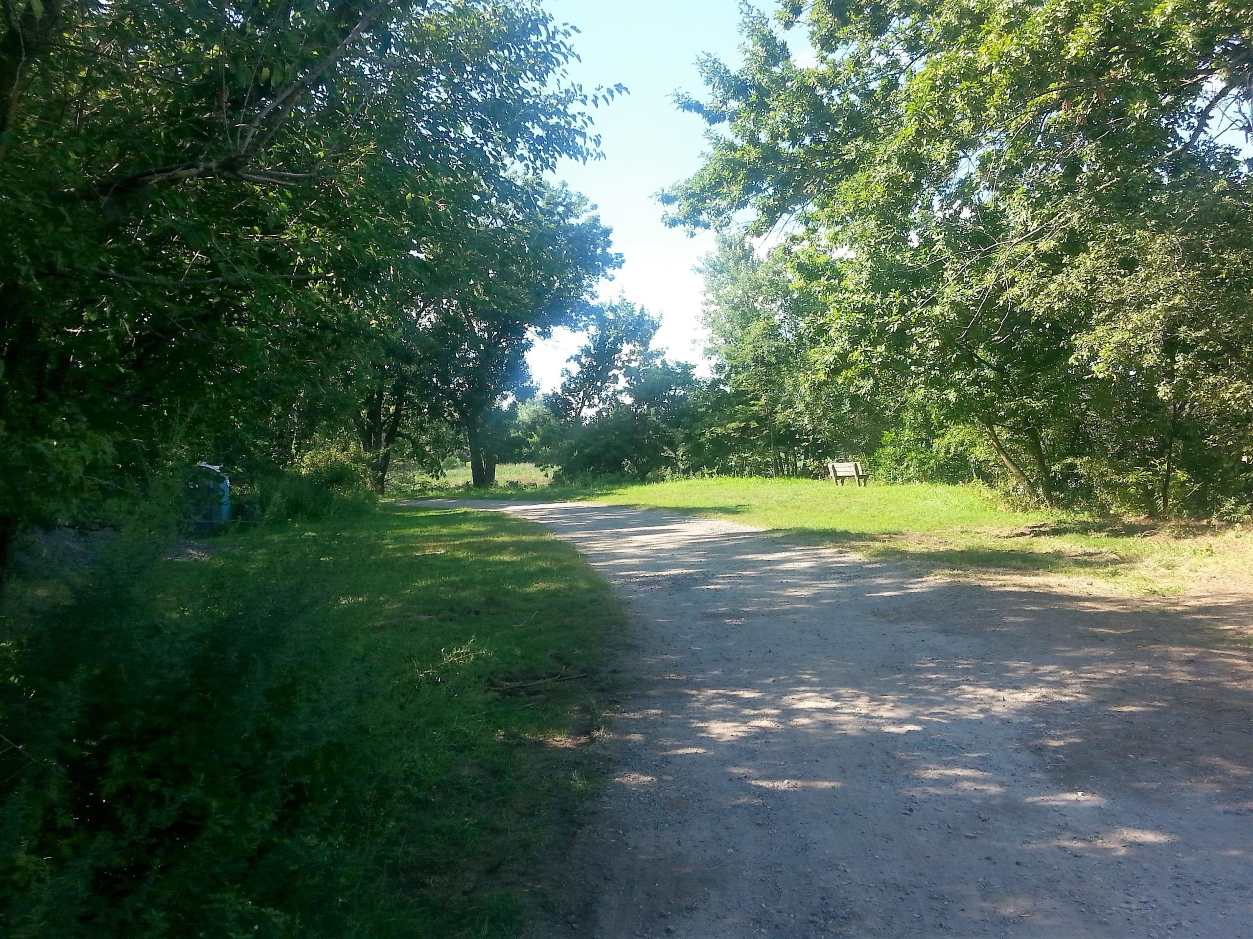 A winding dirt path surrounded by lush greenery, leading through a wooded area. A wooden bench is visible in the distance on a grassy patch, while sunlight filters through the trees, creating a peaceful, serene atmosphere. John Heinz Wildlife Preserve mountain bike trail.