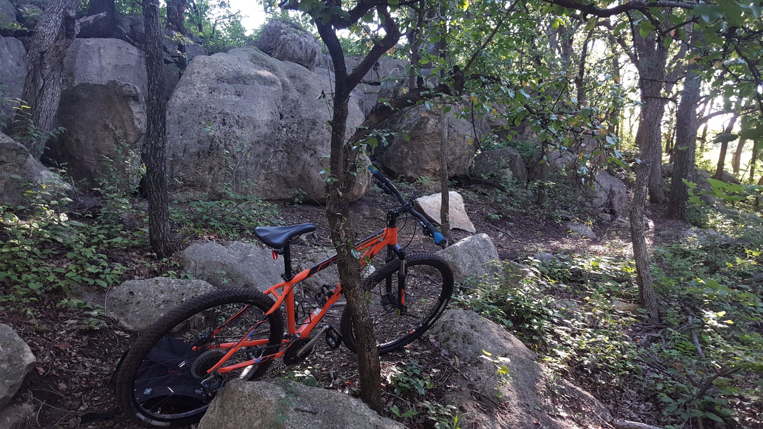 A bright orange mountain bike resting against a small tree amidst large rocks and green foliage in a wooded area. Sunlight filters through the trees, illuminating the natural setting. Camp Horizon mountain bike trail.