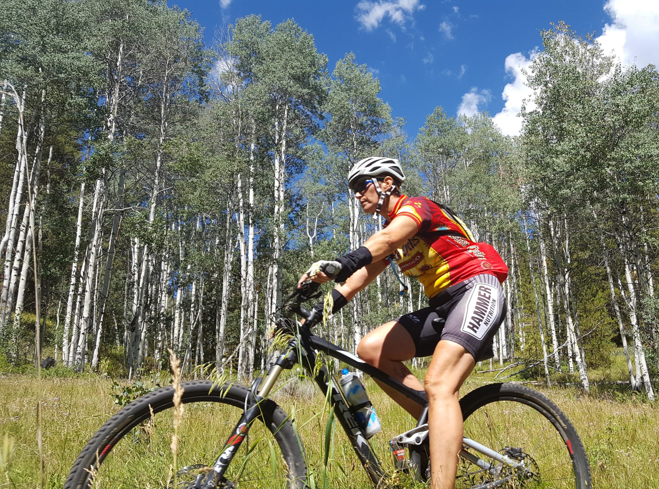 A mountain biker riding through a grassy area surrounded by tall trees under a blue sky, wearing a bright red and yellow cycling jersey, black shorts, and a helmet. A water bottle is secured to the bike frame.  Doctor Park mountain bike trail.