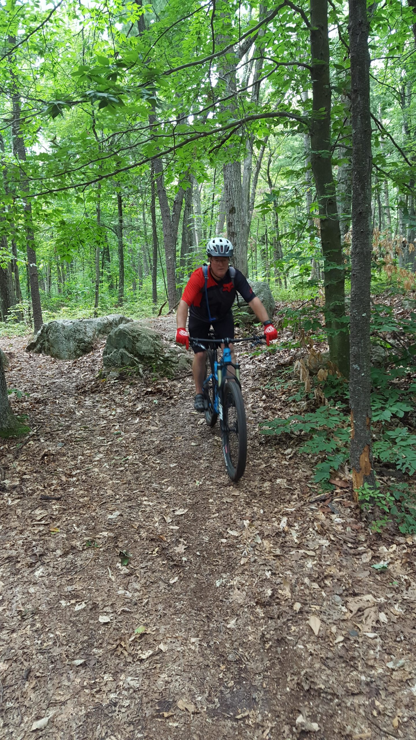 A mountain biker riding along a dirt trail in a forest, surrounded by lush green trees and rocky outcrops. The cyclist is wearing a helmet and red and black biking gear, focusing on navigating the trail. Fallen leaves cover the ground. Landlocked Forest mountain bike trail.