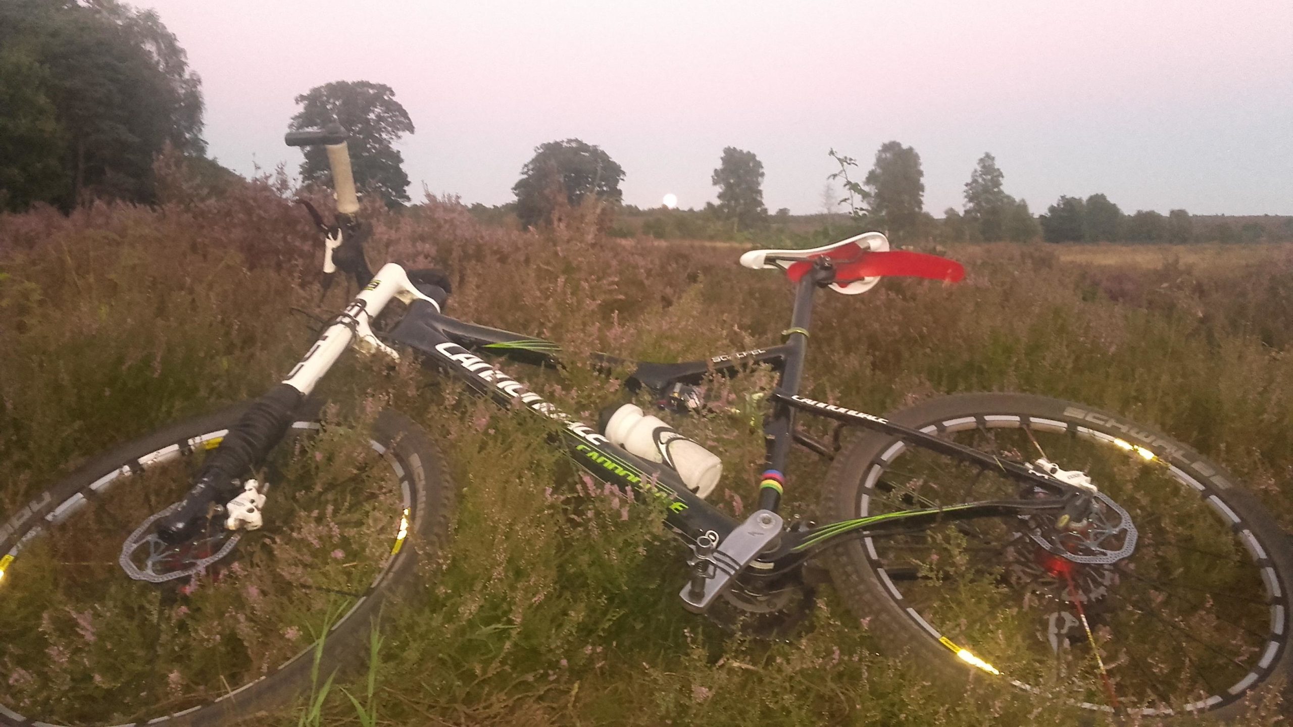 A mountain bike rests on a field of purple heather during dusk, with a full moon visible in the background. The setting conveys a peaceful outdoor scene, showcasing the bike's black and green frame alongside its red seat and accessories. To Marienheem mountain bike trail.