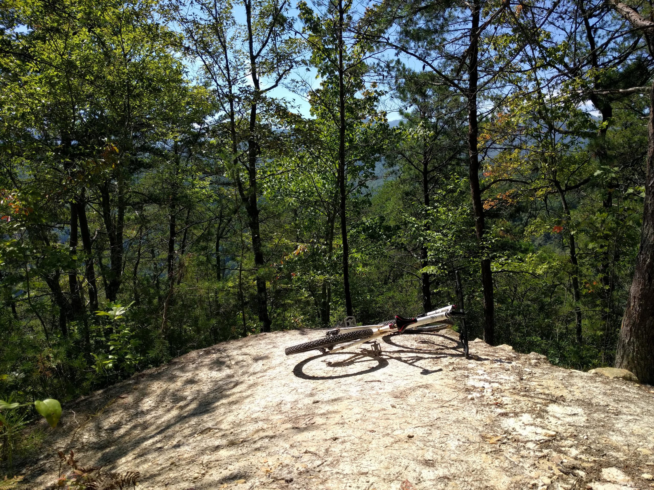 A mountain bike resting on a rocky outcrop surrounded by lush green trees, with a clear blue sky visible in the background. The scene captures a serene natural setting, ideal for outdoor cycling. Flint Ridge mountain bike trail.
