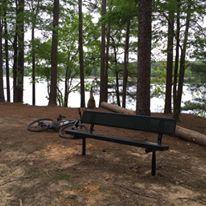 A wooden bench nestled among trees overlooking a calm body of water, with a bicycle leaning against the bench. The scene conveys a peaceful outdoor setting. Bringle Lake Mountain Bike Trail System mountain bike trail.