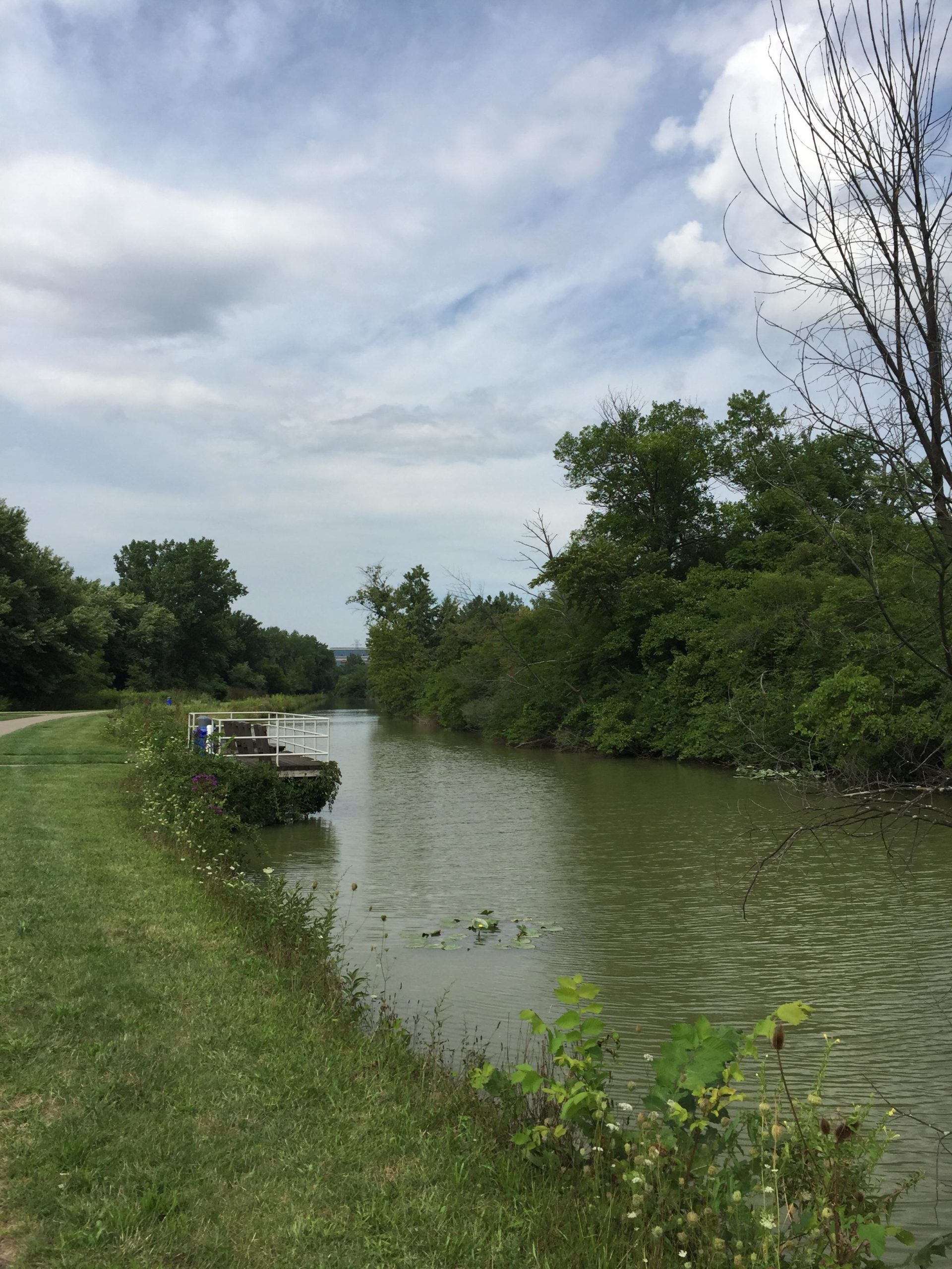 A scenic view of a calm riverbank lined with greenery and wildflowers. A wooden dock extends into the water on the left, surrounded by lush trees under a cloudy sky. A path runs alongside the river, inviting leisurely walks in a tranquil natural setting. Ohio And Erie Canal mountain bike trail.