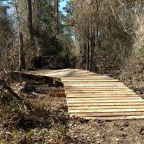 A wooden boardwalk gently curves through a forested area, surrounded by bare trees and sparse underbrush. The path is constructed with planks of wood, leading into the natural landscape. Bringle Lake Mountain Bike Trail System mountain bike trail.