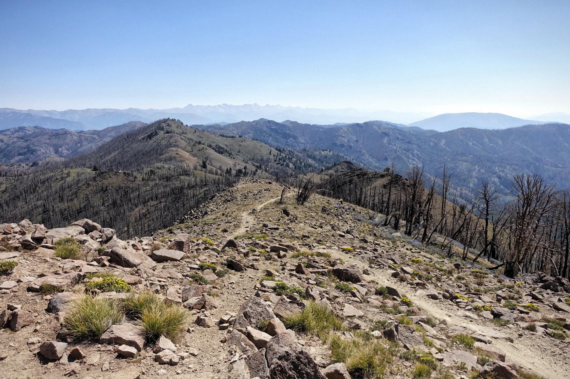 A panoramic view from a rocky mountain ridge, showcasing a vast landscape of rolling hills and distant mountains under a clear blue sky. The foreground features scattered rocks and patches of grass with blooming yellow wildflowers. In the background, charred tree stumps indicate past wildfire activity, while the lower elevations display green vegetation among the rugged terrain. Osberg's Ridgeline Trail mountain bike trail.
