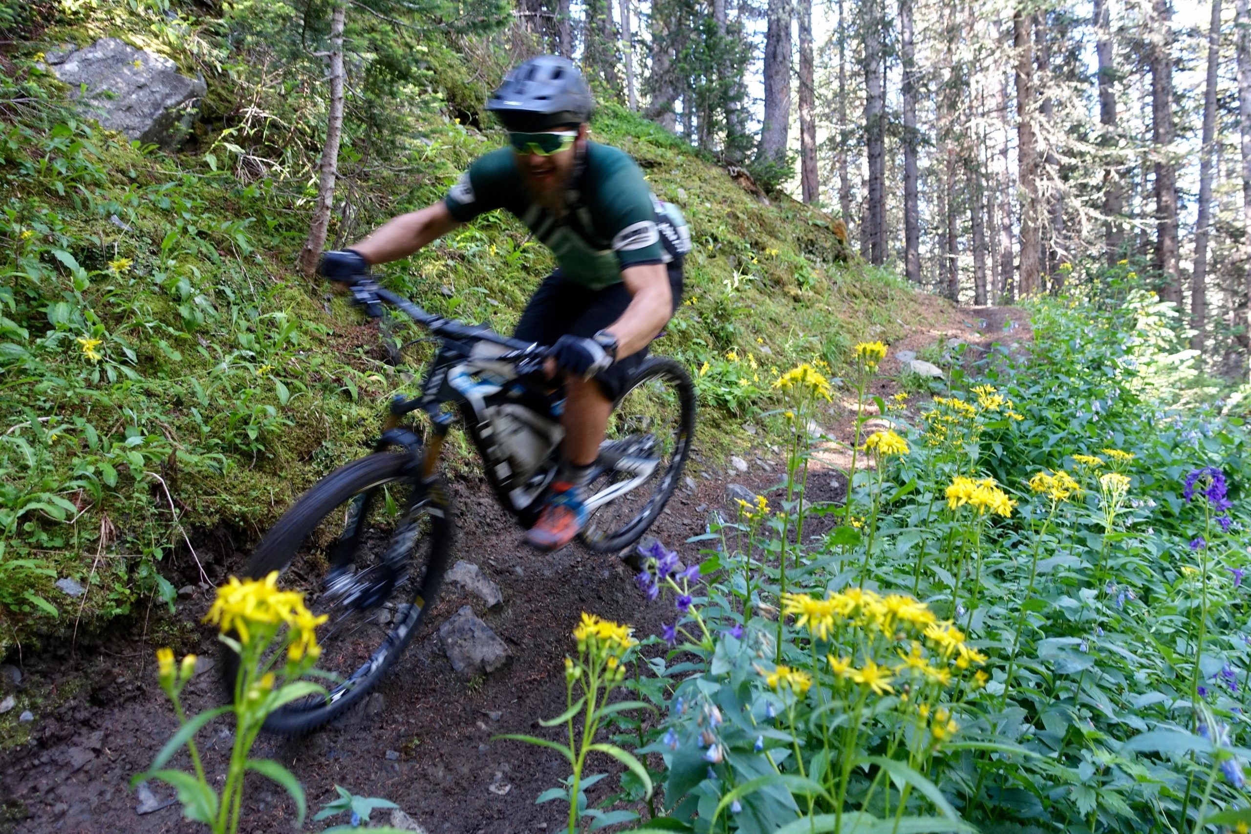 A mountain biker navigating a narrow, dirt trail surrounded by vibrant wildflowers and lush greenery, with sunlight filtering through the trees in the background. The biker is in motion, captured in a dynamic pose while riding on the rugged terrain. Green's Creek mountain bike trail.