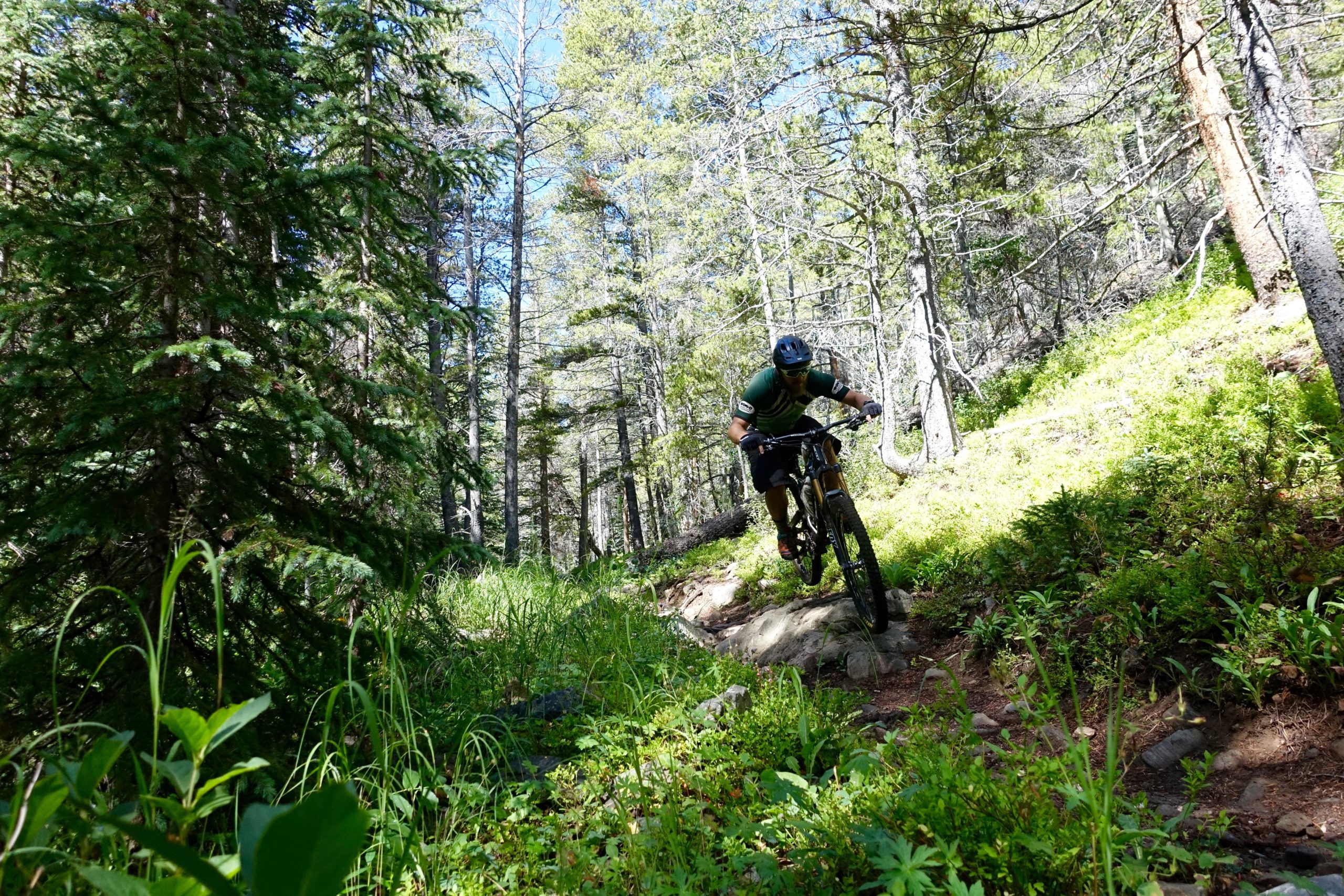 A mountain biker rides over rocky terrain in a forested area, surrounded by tall trees and vibrant greenery under a clear blue sky. Green's Creek mountain bike trail.