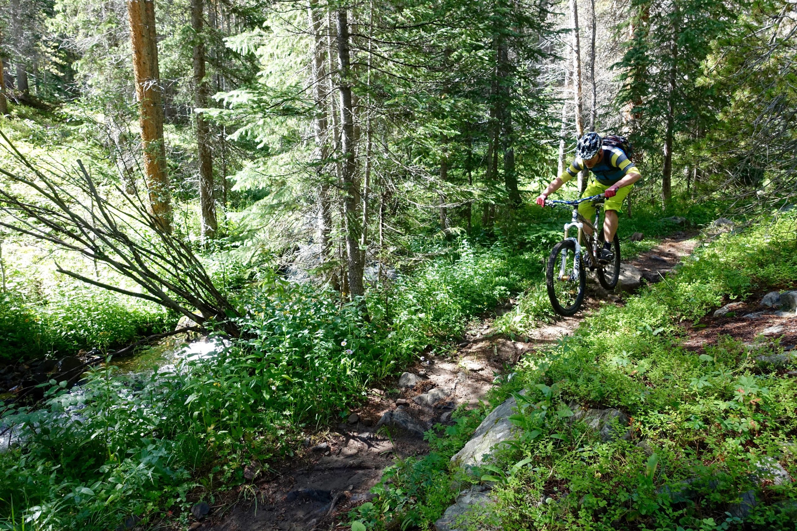 A mountain biker navigating a rocky trail surrounded by lush greenery and tall trees in a forested area, with sunlight filtering through the foliage. Green's Creek mountain bike trail.