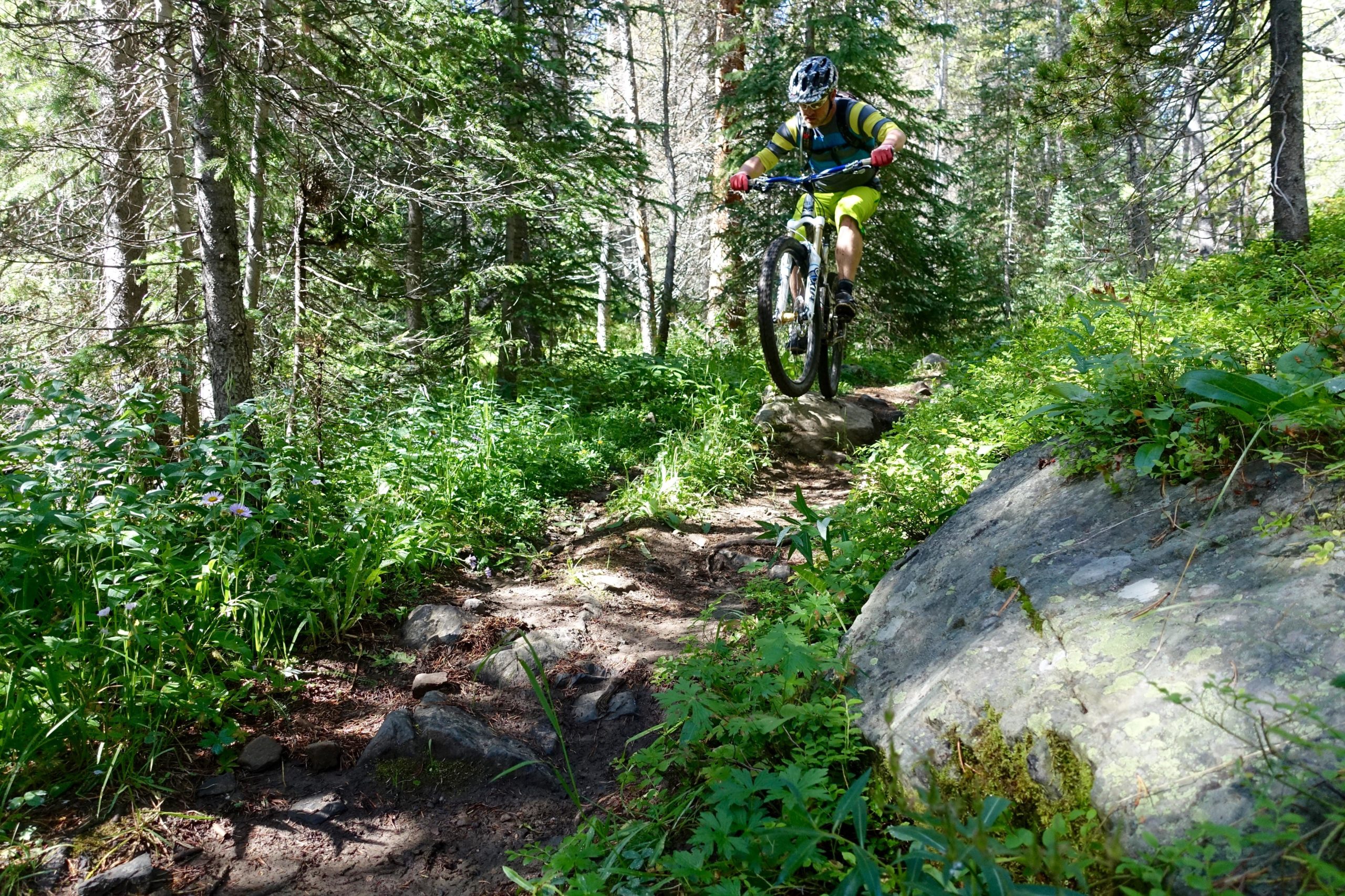 A mountain biker in vibrant yellow shorts and a striped shirt jumps over a rock on a forest trail, surrounded by lush greenery and tall trees. Sunlight filters through the forest, illuminating the scene. Green's Creek mountain bike trail.