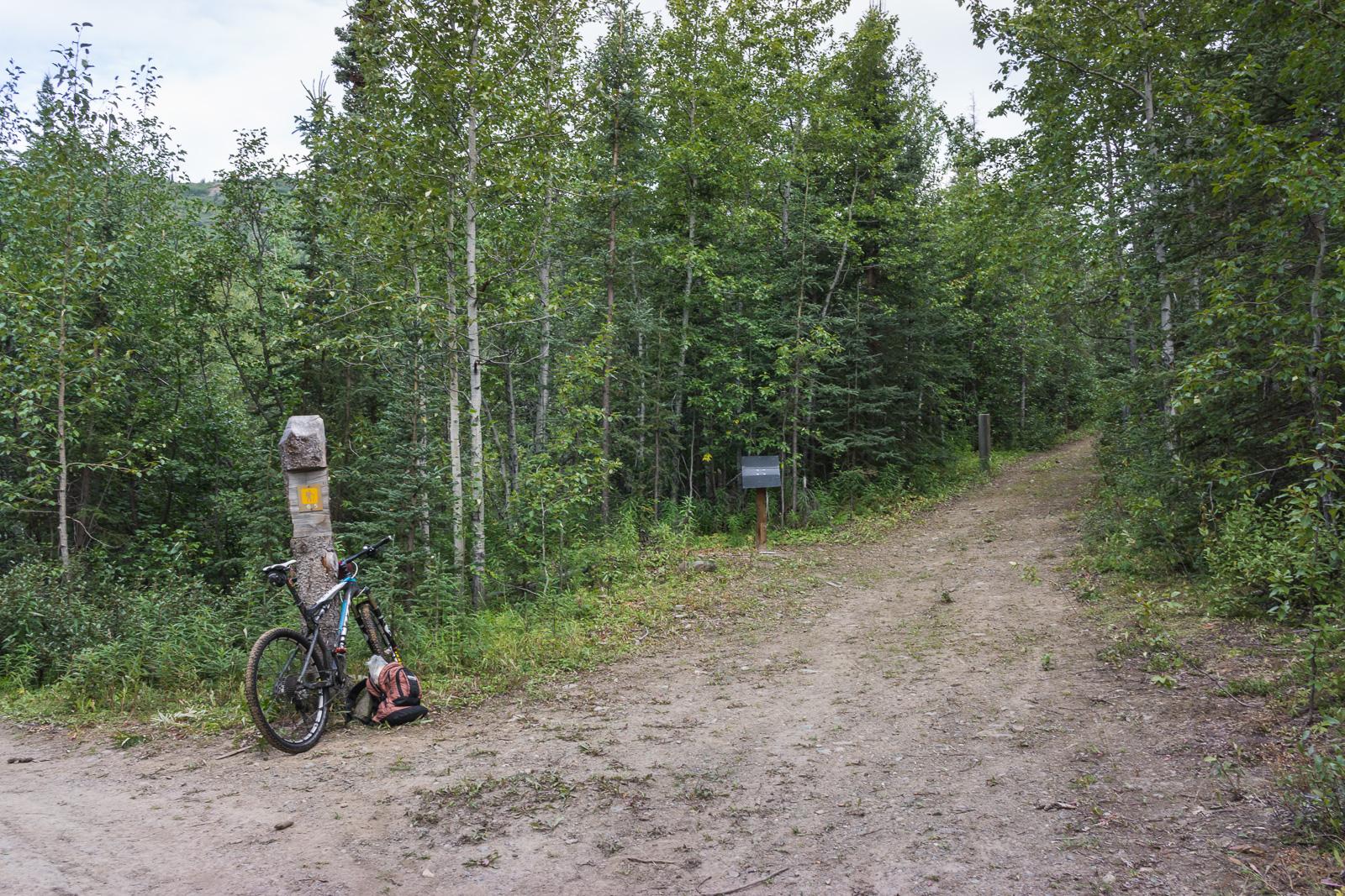 A mountain bike rests against a stone marker along a dirt trail, surrounded by lush greenery and trees. A small wooden signpost is visible nearby, indicating directions. The path splits into two, leading deeper into the forest under a cloudy sky. Cottonwood Trail mountain bike trail.