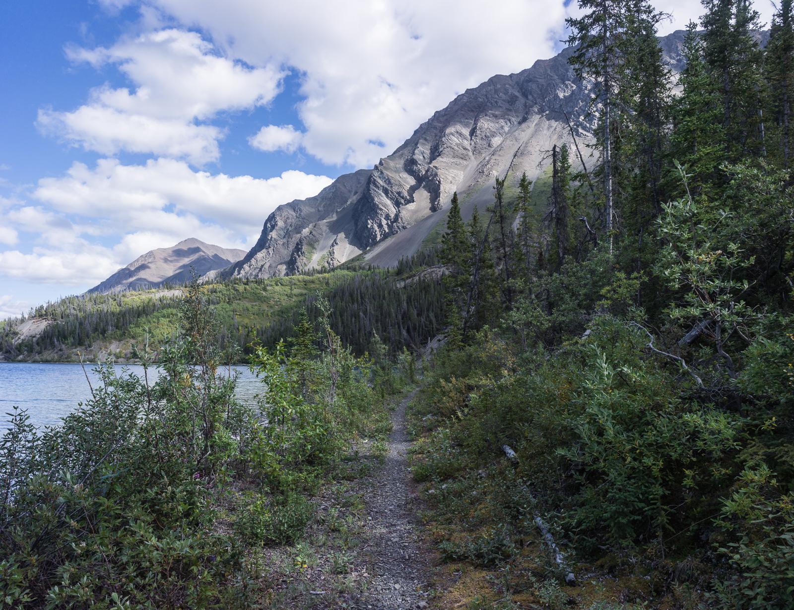 A scenic view of a narrow walking trail along a lake, surrounded by lush green foliage and dense trees. In the background, rugged mountains rise under a partly cloudy sky, creating a serene natural landscape. Cottonwood Trail mountain bike trail.