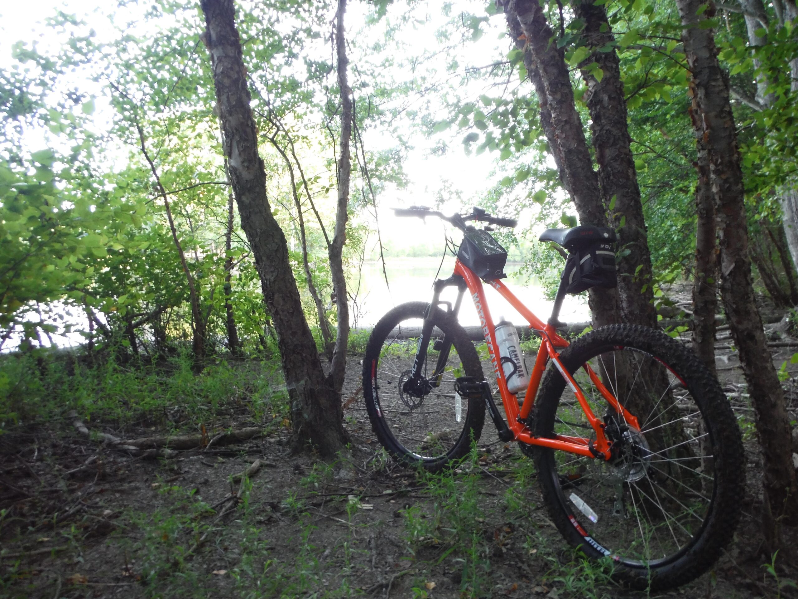 Motobecane Motobecane 529 HT: A bright orange mountain bike leaning against a tree in a lush, green forest. The background features dense foliage, with a glimpse of a body of water visible through the trees. The ground is covered in dirt and grass, creating a natural outdoor setting.