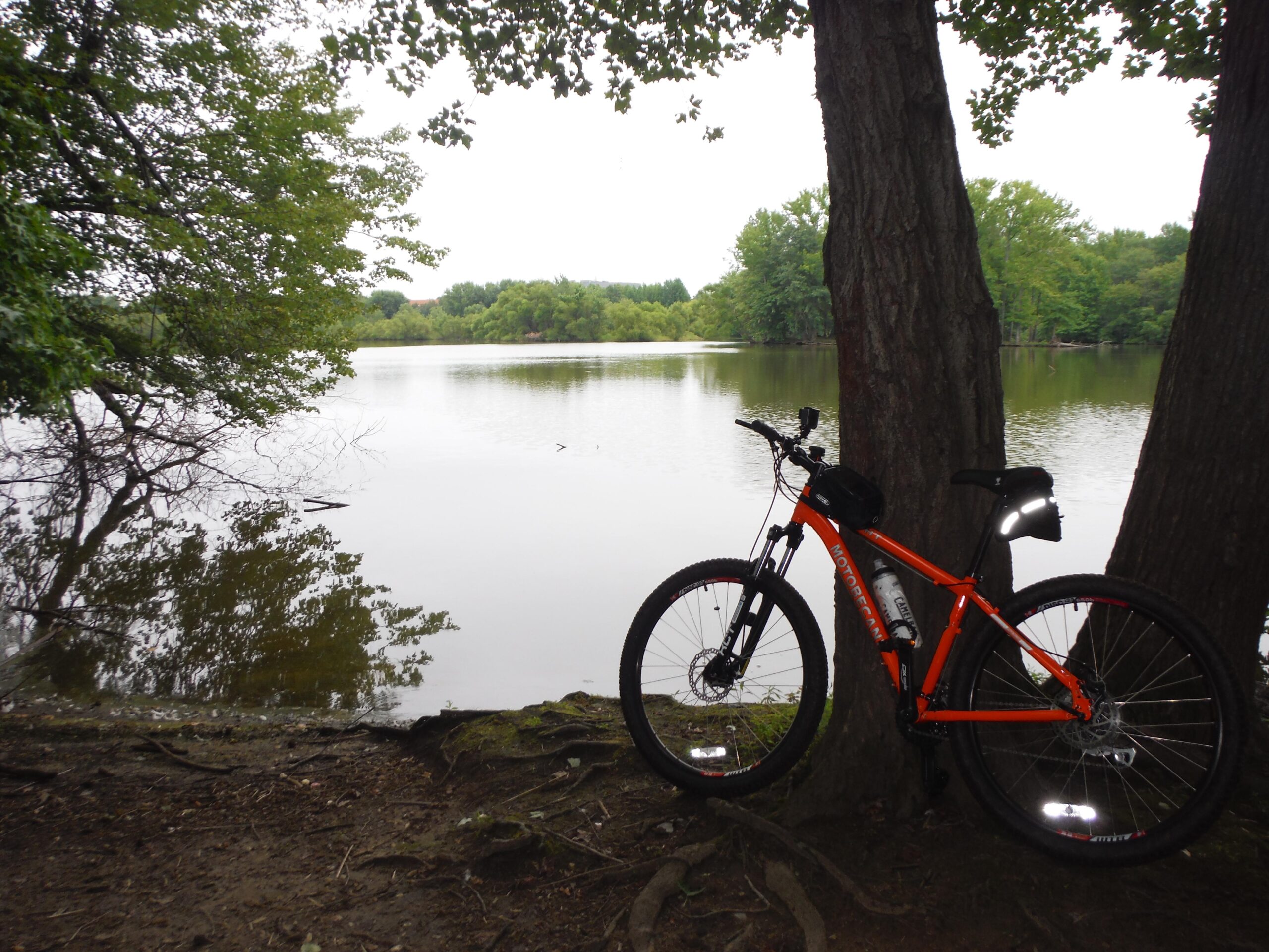 Motobecane 429HT: Mountain bike leaning against a tree near a calm lake, surrounded by lush greenery and reflecting trees on the water's surface. Overcast sky above.